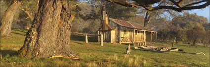 Oldfields Hut - Koscuiszko NP - NSW (PBH4 00 12807)